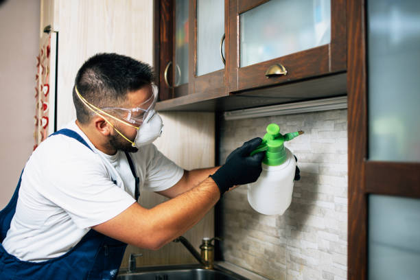 Best Wildlife Control Services  in Dilkon, AZ