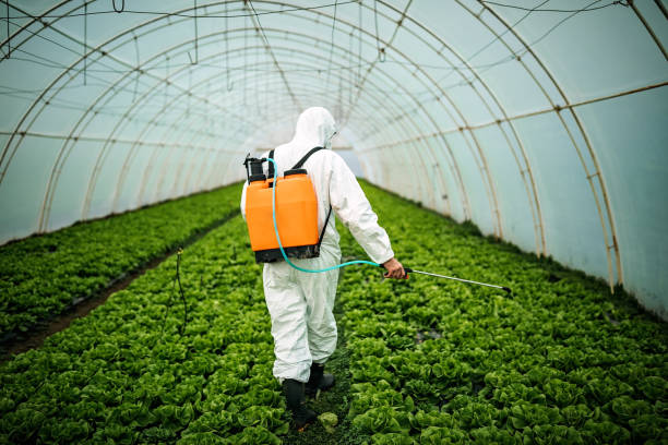 Best Affordable Pest Control Services  in Dilkon, AZ