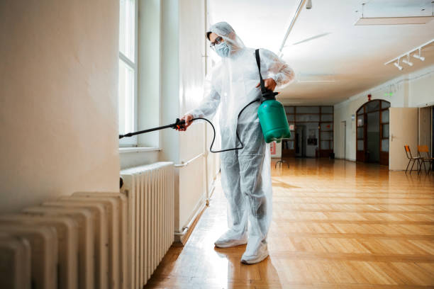 Best Rat Extermination Near Me  in Dilkon, AZ